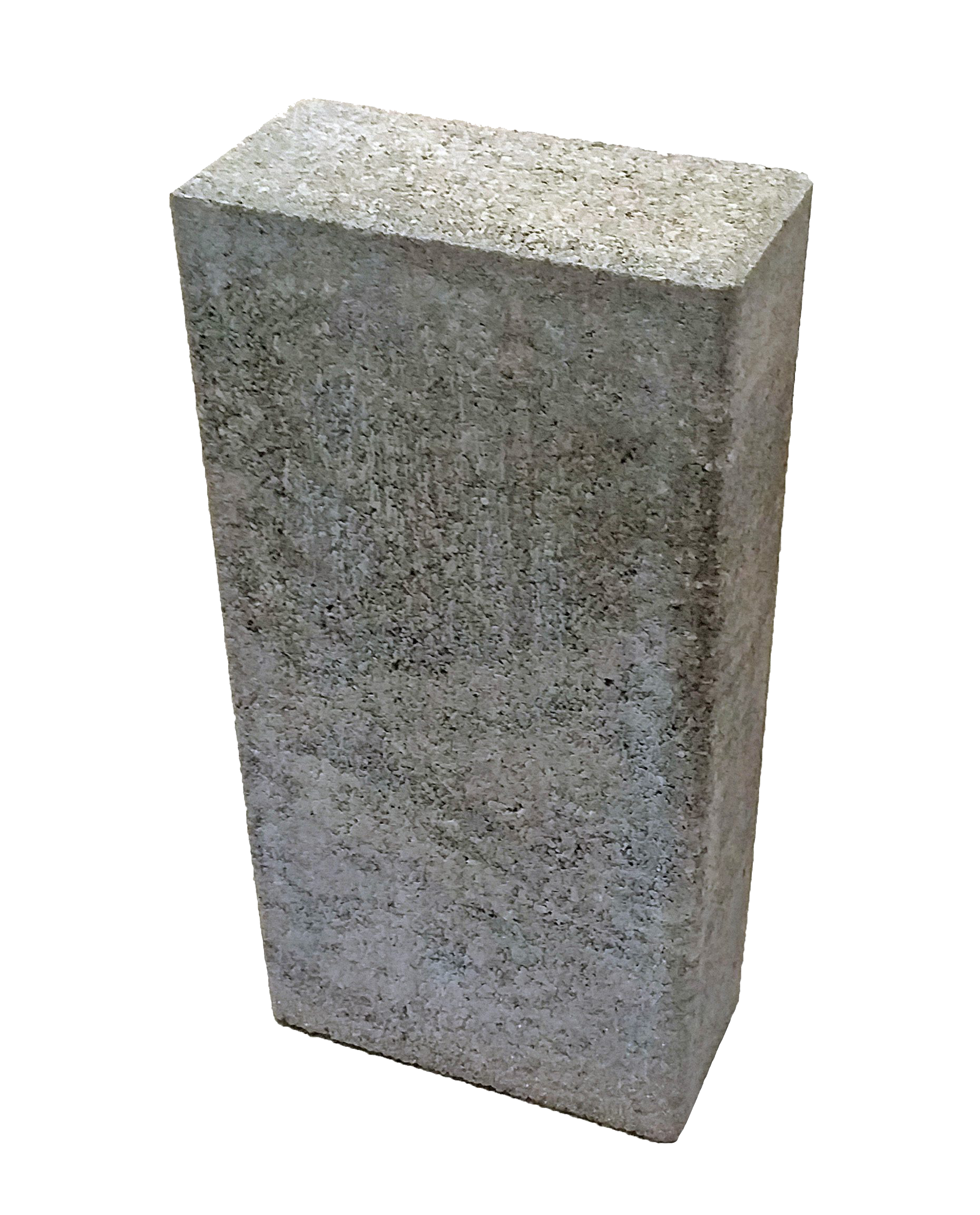 Palisády